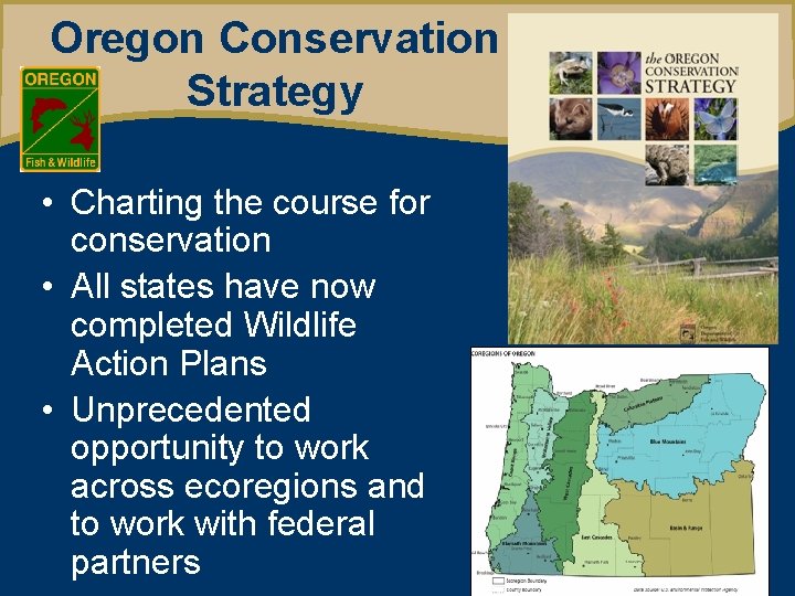 Oregon Conservation Strategy • Charting the course for conservation • All states have now