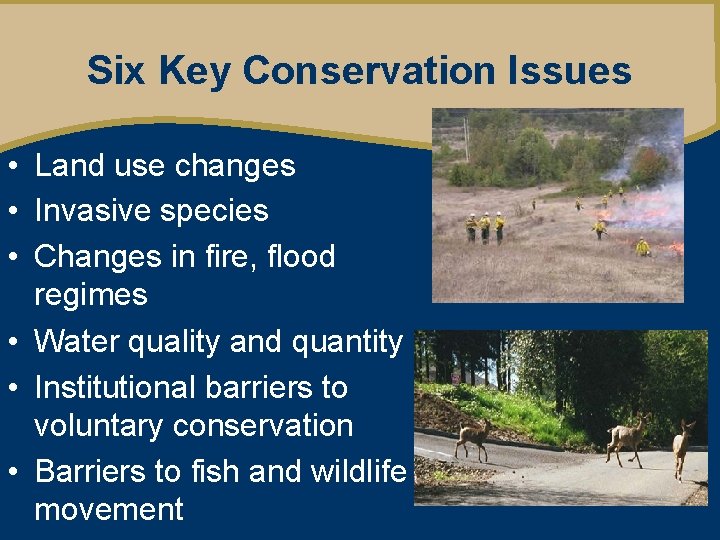 Six Key Conservation Issues • Land use changes • Invasive species • Changes in