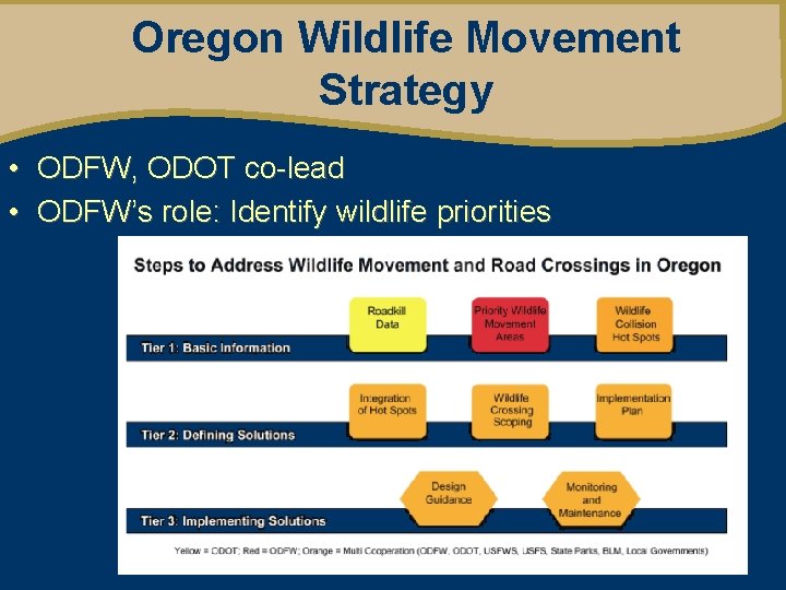 Oregon Wildlife Movement Strategy • ODFW, ODOT co-lead • ODFW’s role: Identify wildlife priorities