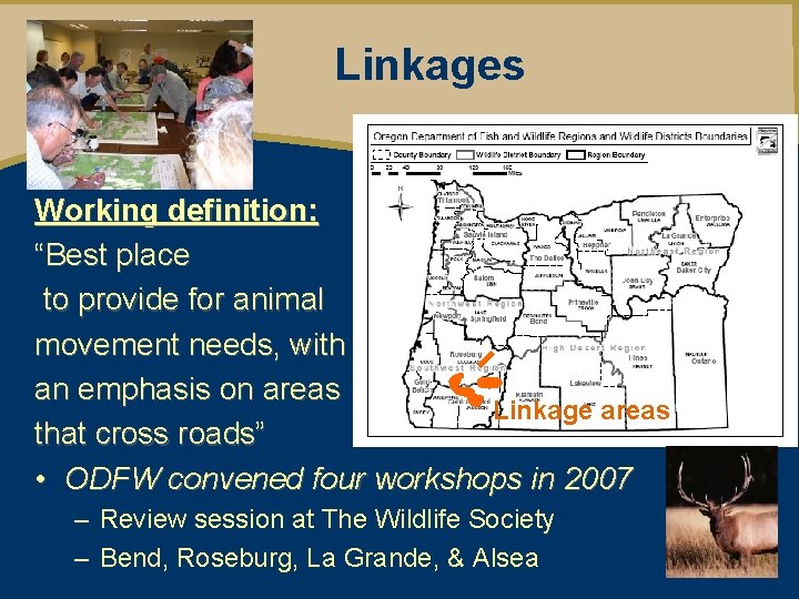 Linkages Working definition: “Best place to provide for animal movement needs, with an emphasis