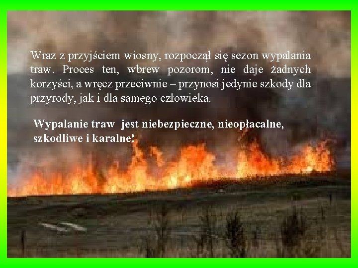 Wraz z przyjściem wiosny, rozpoczął się sezon wypalania traw. Proces ten, wbrew pozorom, nie