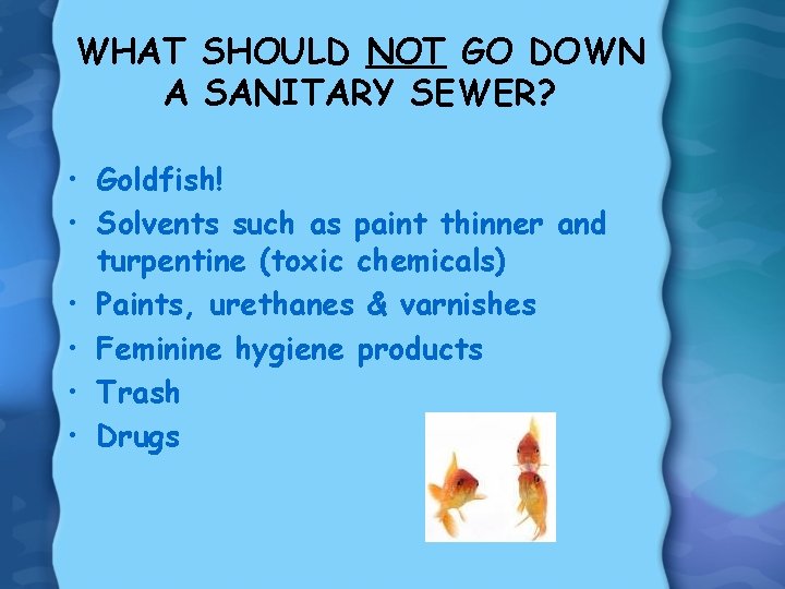 WHAT SHOULD NOT GO DOWN A SANITARY SEWER? • Goldfish! • Solvents such as