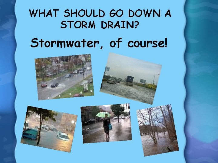 WHAT SHOULD GO DOWN A STORM DRAIN? Stormwater, of course! 