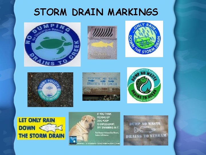 STORM DRAIN MARKINGS 