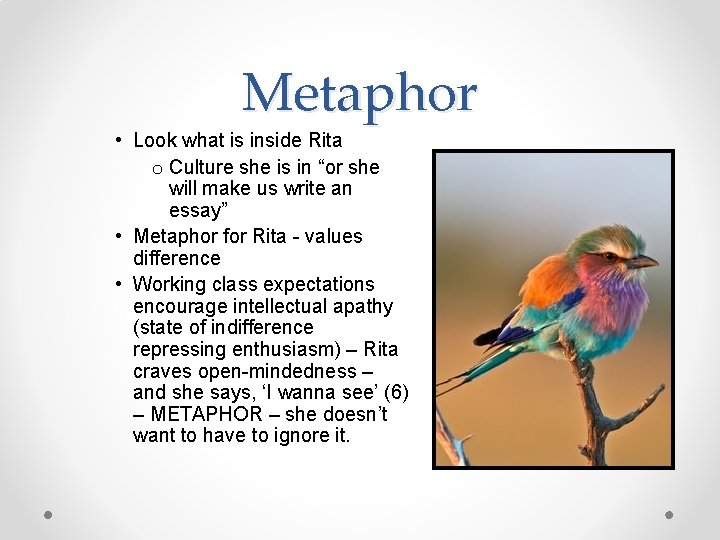 Metaphor • Look what is inside Rita o Culture she is in “or she