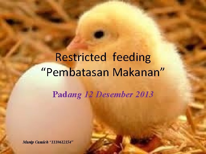 Restricted feeding “Pembatasan Makanan” Padang 12 Desember 2013 Manip Casaleh “ 1110612154” 