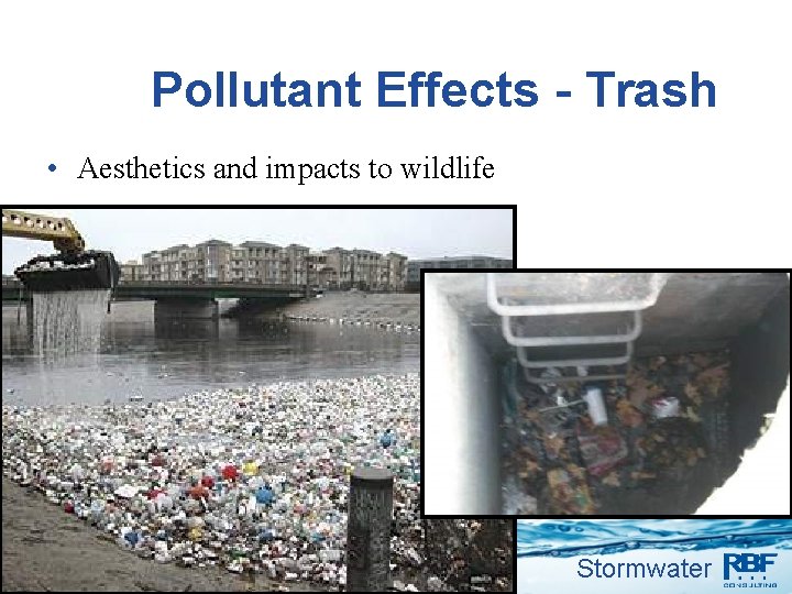Pollutant Effects - Trash • Aesthetics and impacts to wildlife 7 Stormwater 