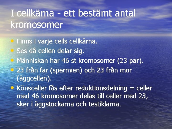 I cellkärna - ett bestämt antal kromosomer • Finns i varje cells cellkärna. •