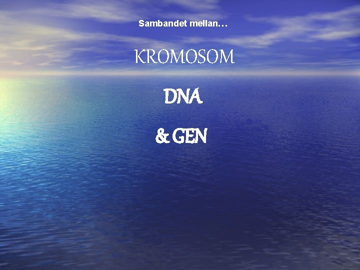 Sambandet mellan… KROMOSOM DNA & GEN 