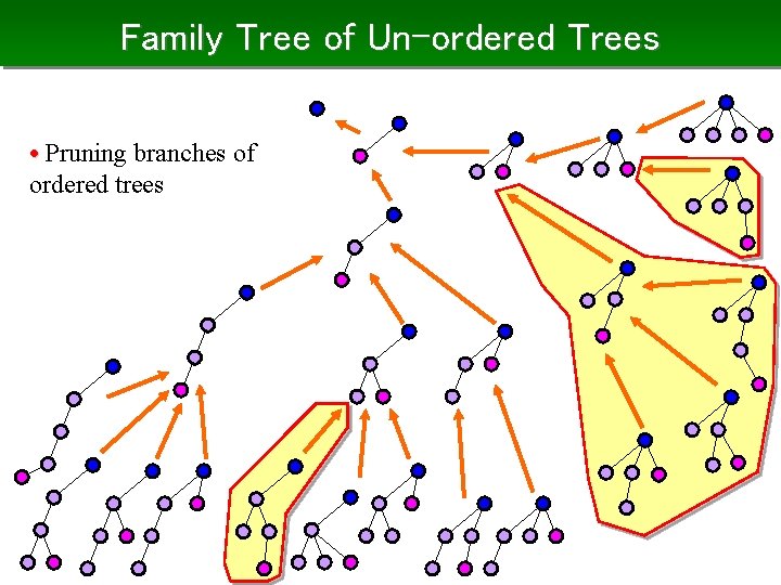 Family Tree of Un-ordered Trees • Pruning branches of ordered trees 