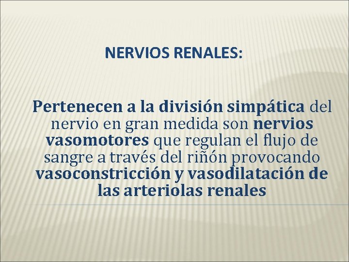 NERVIOS RENALES: Pertenecen a la división simpática del nervio en gran medida son nervios