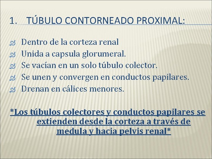 1. TÚBULO CONTORNEADO PROXIMAL: Dentro de la corteza renal Unida a capsula glorumeral. Se