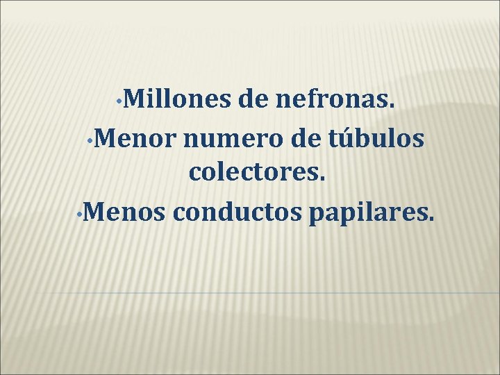  • Millones de nefronas. • Menor numero de túbulos colectores. • Menos conductos