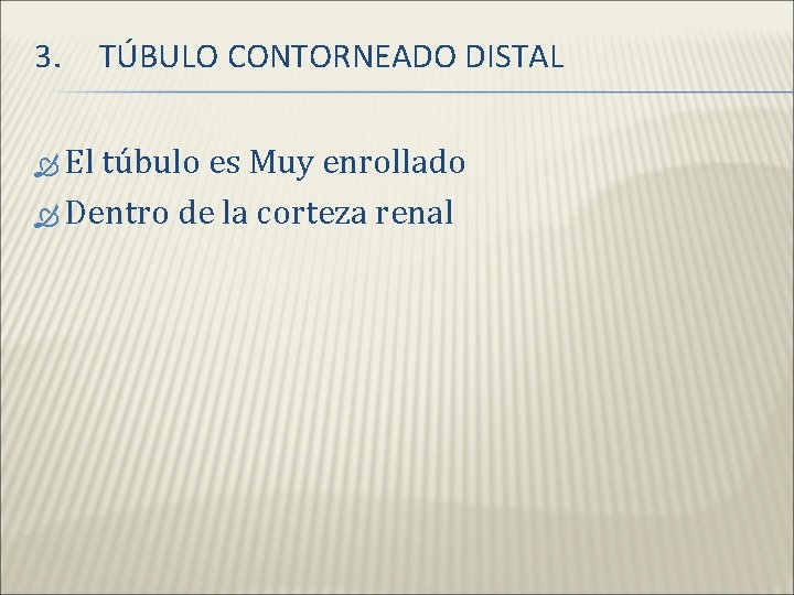 3. TÚBULO CONTORNEADO DISTAL El túbulo es Muy enrollado Dentro de la corteza renal