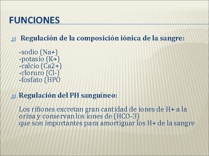 FUNCIONES Regulación de la composición iónica de la sangre: -sodio (Na+) -potasio (K+) -calcio FUNCIONES Regulación de la composición iónica de la sangre: -sodio (Na+) -potasio (K+) -calcio