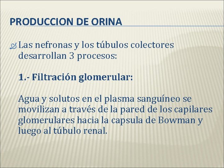 PRODUCCION DE ORINA Las nefronas y los túbulos colectores desarrollan 3 procesos: 1. -