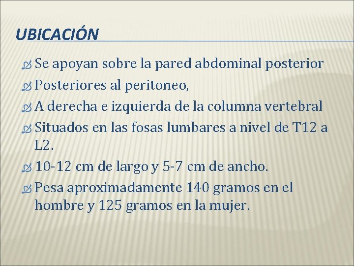 UBICACIÓN Se apoyan sobre la pared abdominal posterior Posteriores al peritoneo, A derecha e