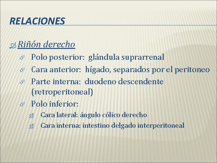 RELACIONES Riñón derecho Polo posterior: glándula suprarrenal Cara anterior: hígado, separados por el peritoneo RELACIONES Riñón derecho Polo posterior: glándula suprarrenal Cara anterior: hígado, separados por el peritoneo