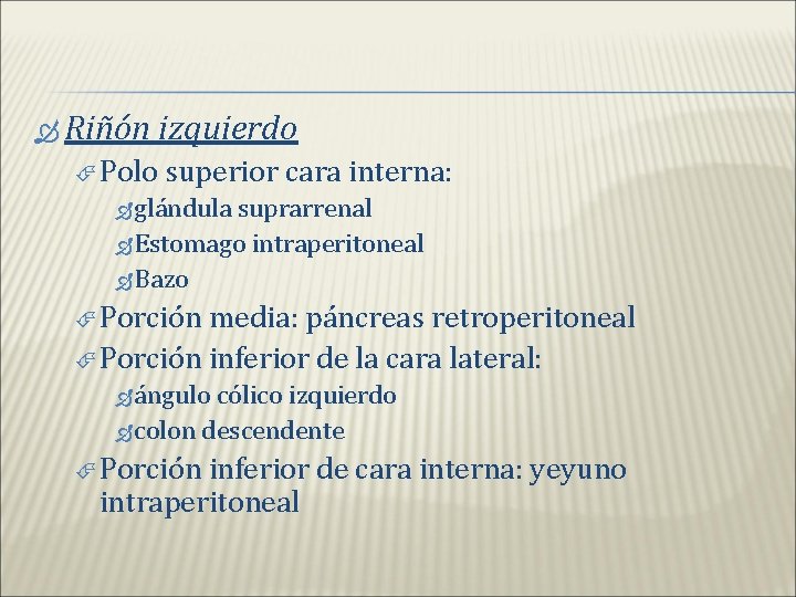  Riñón izquierdo Polo superior cara interna: glándula suprarrenal Estomago intraperitoneal Bazo Porción media: