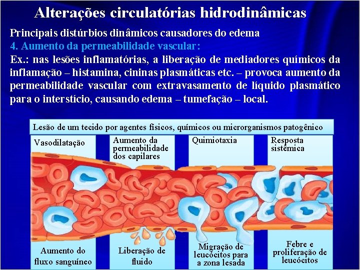 Alterações circulatórias hidrodinâmicas Principais distúrbios dinâmicos causadores do edema 4. Aumento da permeabilidade vascular: