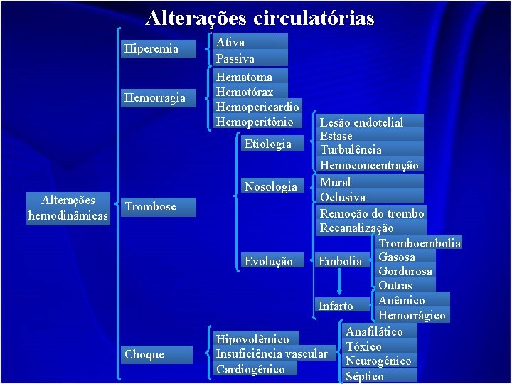 Alterações circulatórias Hiperemia Hemorragia Alterações hemodinâmicas Trombose Choque Ativa Passiva Hematoma Hemotórax Hemopericardio Hemoperitônio