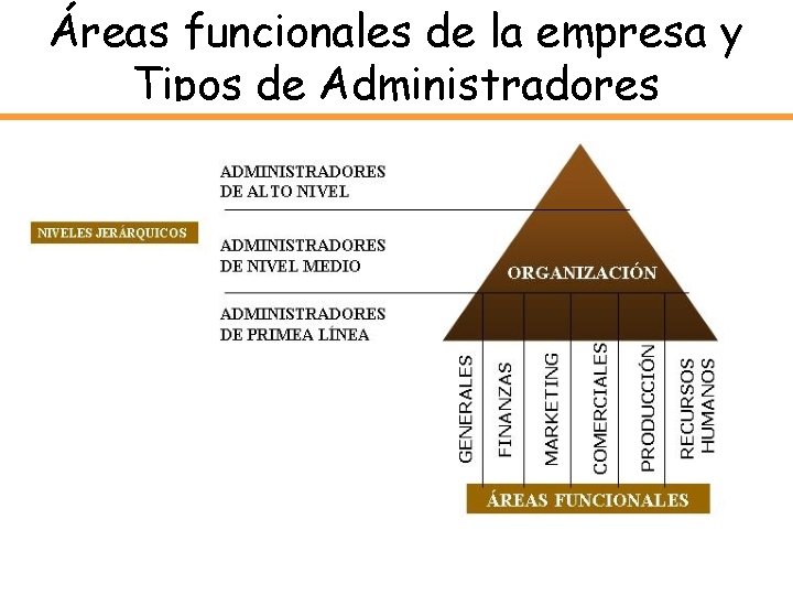 Áreas funcionales de la empresa y Tipos de Administradores 
