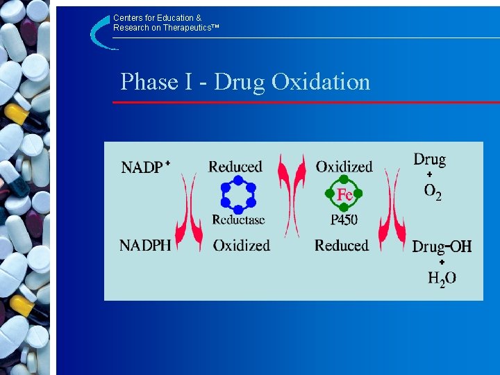 Centers for Education & Research on Therapeutics™ Phase I - Drug Oxidation 