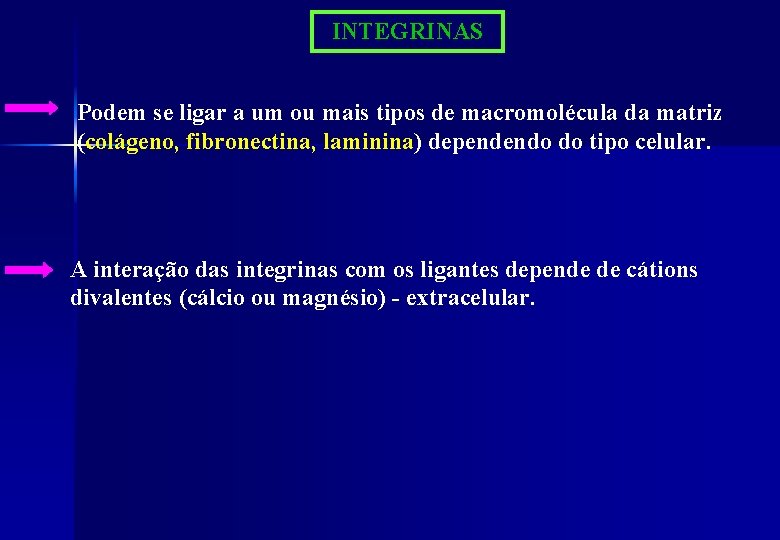 INTEGRINAS Podem se ligar a um ou mais tipos de macromolécula da matriz (colágeno,