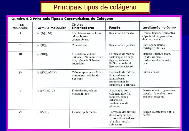 Principais tipos de colágeno 