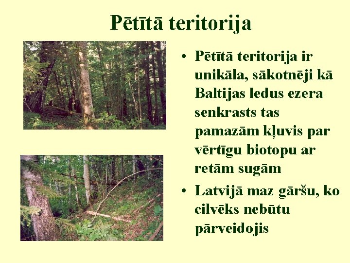 Pētītā teritorija • Pētītā teritorija ir unikāla, sākotnēji kā Baltijas ledus ezera senkrasts tas