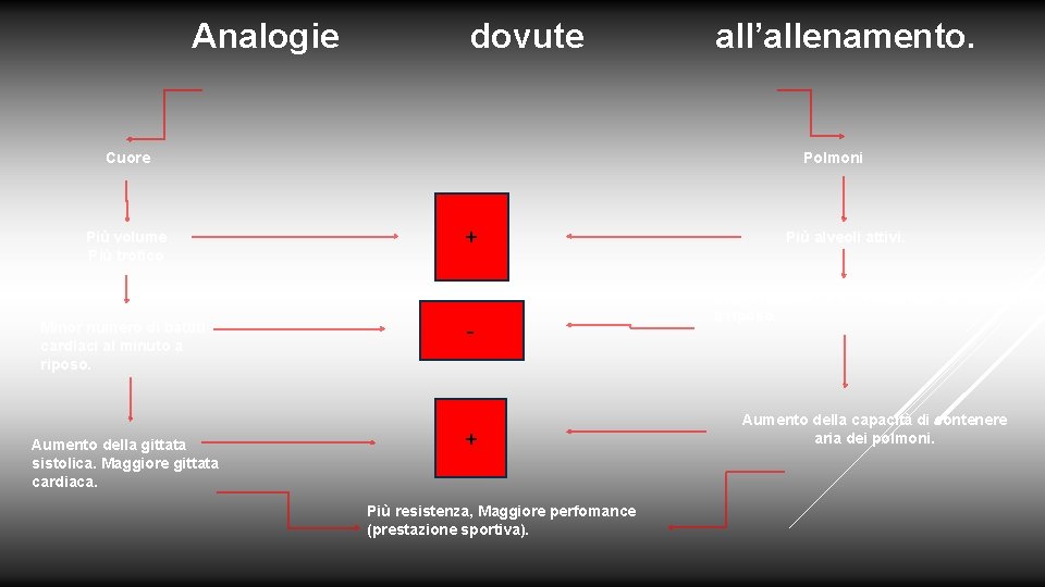 Analogie dovute Polmoni Cuore Più volume Più trofico Minor numero di battiti cardiaci al