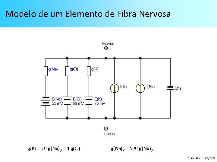 Modelo de um Elemento de Fibra Nervosa g(K) = 20 g(Na)0 = 4 g(Cl) Modelo de um Elemento de Fibra Nervosa g(K) = 20 g(Na)0 = 4 g(Cl)