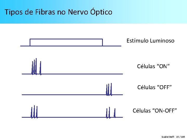 Tipos de Fibras no Nervo Óptico Estímulo Luminoso Células “ON” Células “OFF” Células “ON-OFF” Tipos de Fibras no Nervo Óptico Estímulo Luminoso Células “ON” Células “OFF” Células “ON-OFF”
