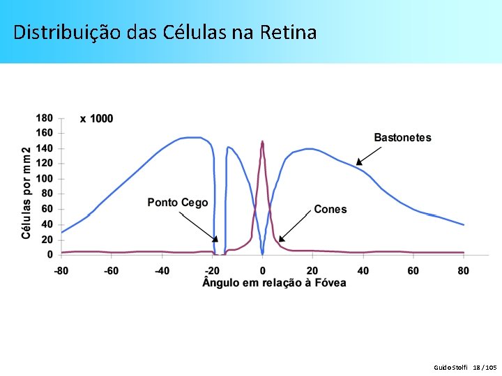 Distribuição das Células na Retina Guido Stolfi 18 / 105 