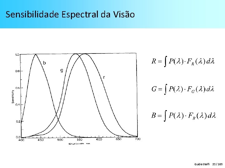 Sensibilidade Espectral da Visão Guido Stolfi 23 / 105 