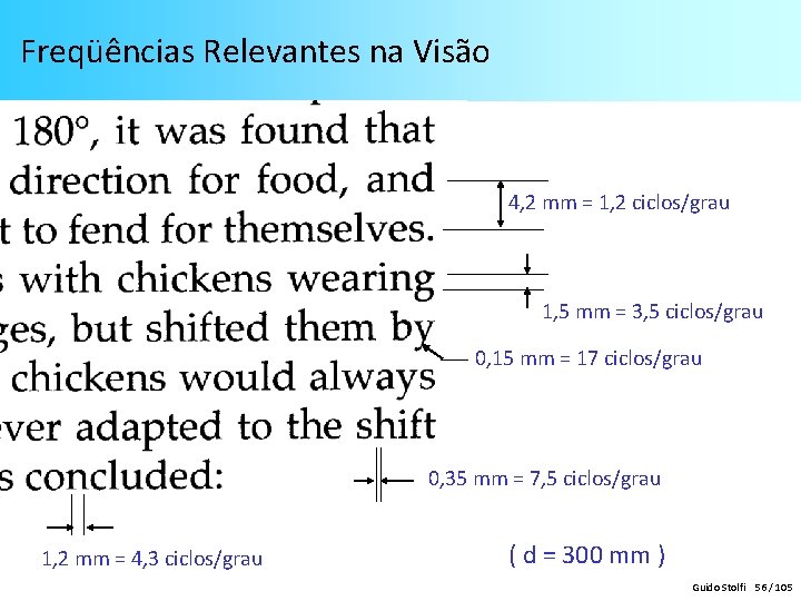 Freqüências Relevantes na Visão 4, 2 mm = 1, 2 ciclos/grau 1, 5 mm