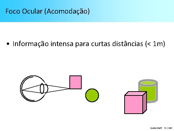  Foco Ocular (Acomodação) • Informação intensa para curtas distâncias (< 1 m) Guido