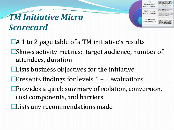 TM Initiative Micro Scorecard �A 1 to 2 page table of a TM initiative’s