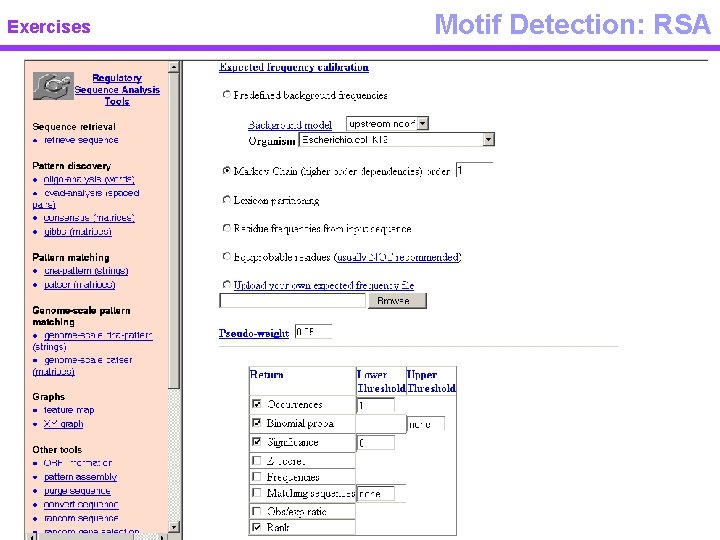 Exercises Motif Detection: RSA 