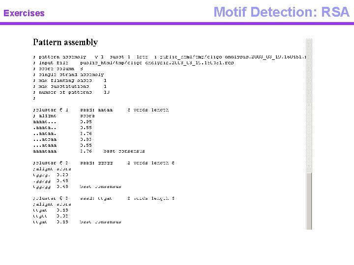 Exercises Motif Detection: RSA 