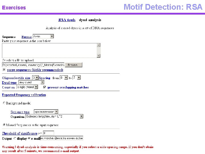 Exercises Motif Detection: RSA 