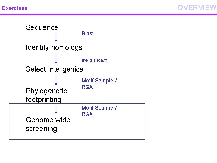 OVERVIEW Exercises Sequence Blast Identify homologs INCLUsive Select Intergenics Phylogenetic footprinting Genome wide screening