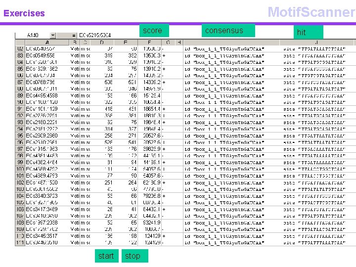 Motif. Scanner Exercises score start stop consensus hit 