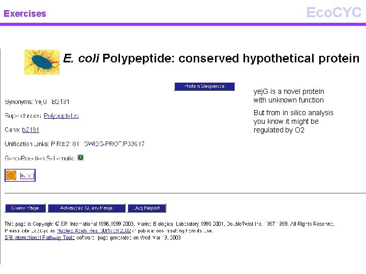 Exercises Eco. CYC yej. G is a novel protein with unknown function But from