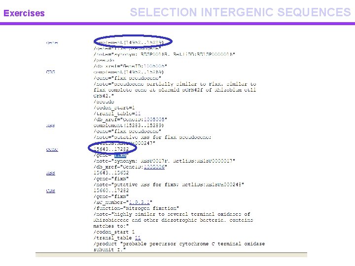 Exercises SELECTION INTERGENIC SEQUENCES 