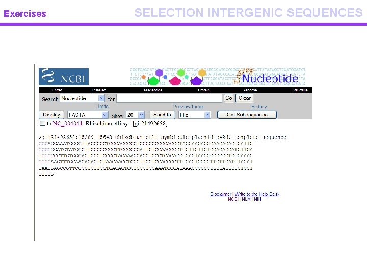 Exercises SELECTION INTERGENIC SEQUENCES 