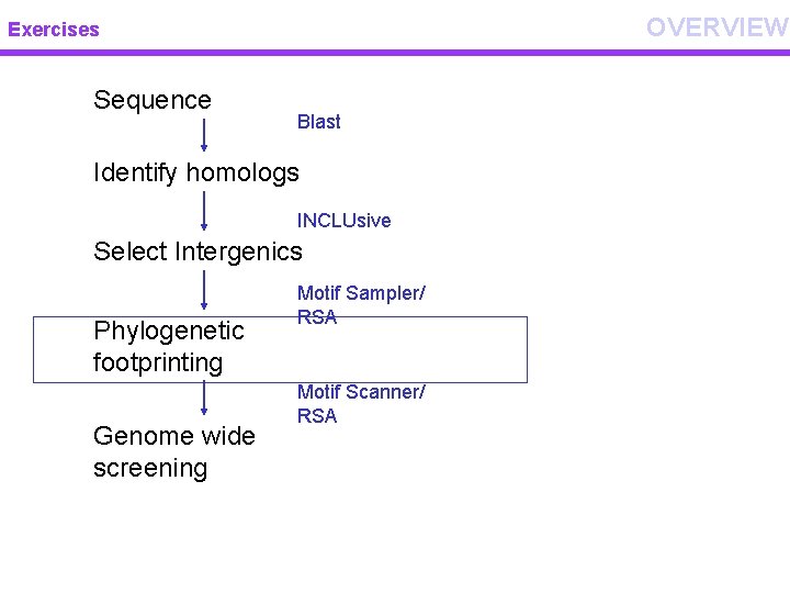 OVERVIEW Exercises Sequence Blast Identify homologs INCLUsive Select Intergenics Phylogenetic footprinting Genome wide screening