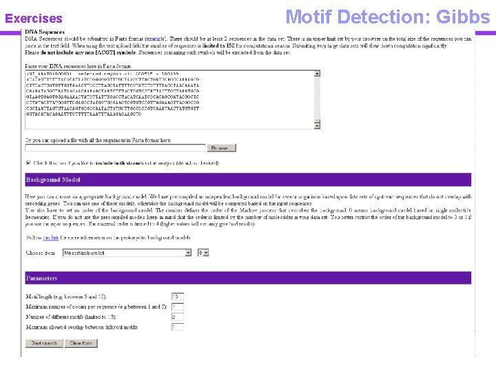 Exercises Motif Detection: Gibbs 