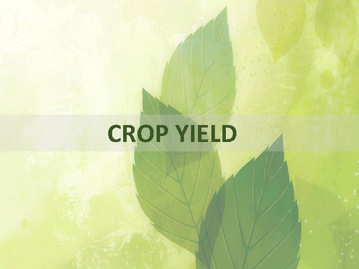  CROP YIELD 