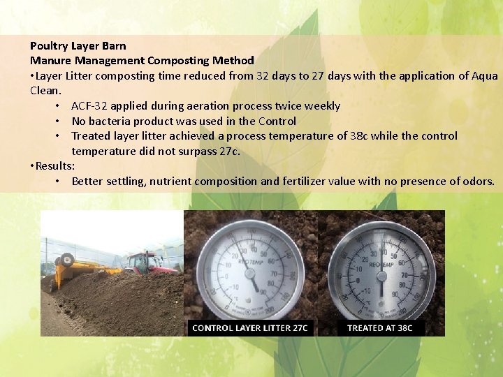 Poultry Layer Barn Manure Management Composting Method • Layer Litter composting time reduced from